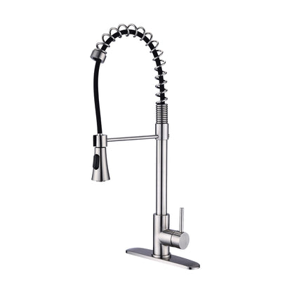 Modern Single Handle Faucet With Filter And Spray