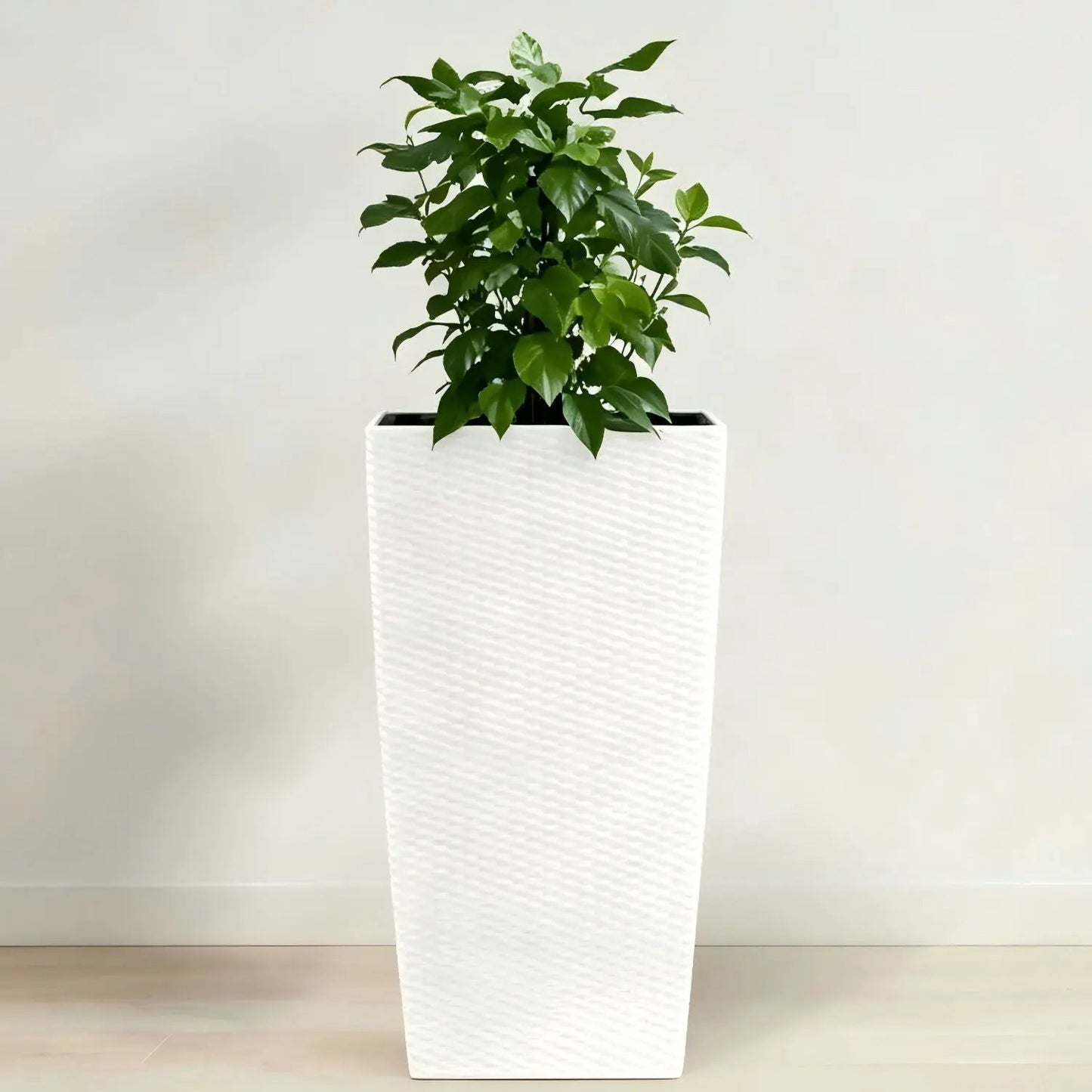 Indoor Outdoor Planter With Auto Watering
