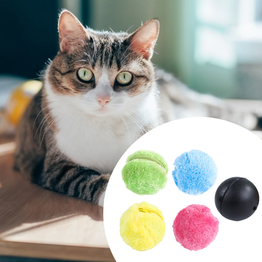 Magic Roller Ball Activation plush interactive toy for dogs and cats with colorful balls on Tampa Home & Garden Store