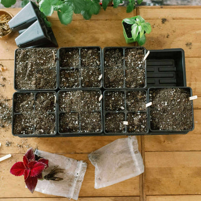 4 Cell Seed Tray Cell Plug Tray