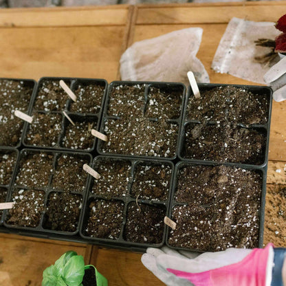 4 Cell Seed Tray Cell Plug Tray