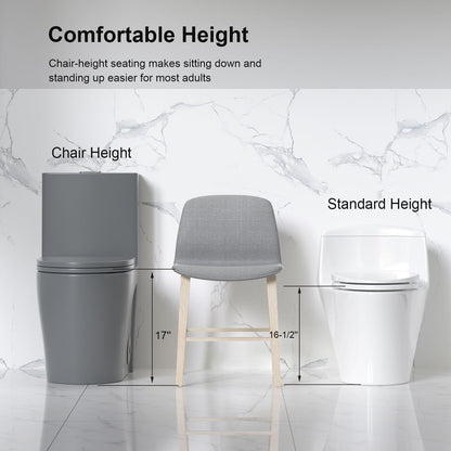 Two toilets: gray ADA-height left, white standard-height right, gray chair center on Tampa Home & Garden Store