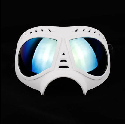Pet sunglasses with white frame and mirrored blue lenses FLIPSTYLEZLLC on Tampa Home & Garden Store