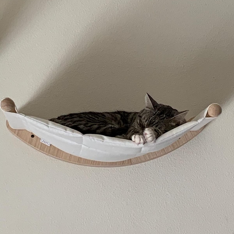 Pet solid wood cat wall hanging hammock with curved frame, cat resting on fabric on Tampa Home & Garden Store