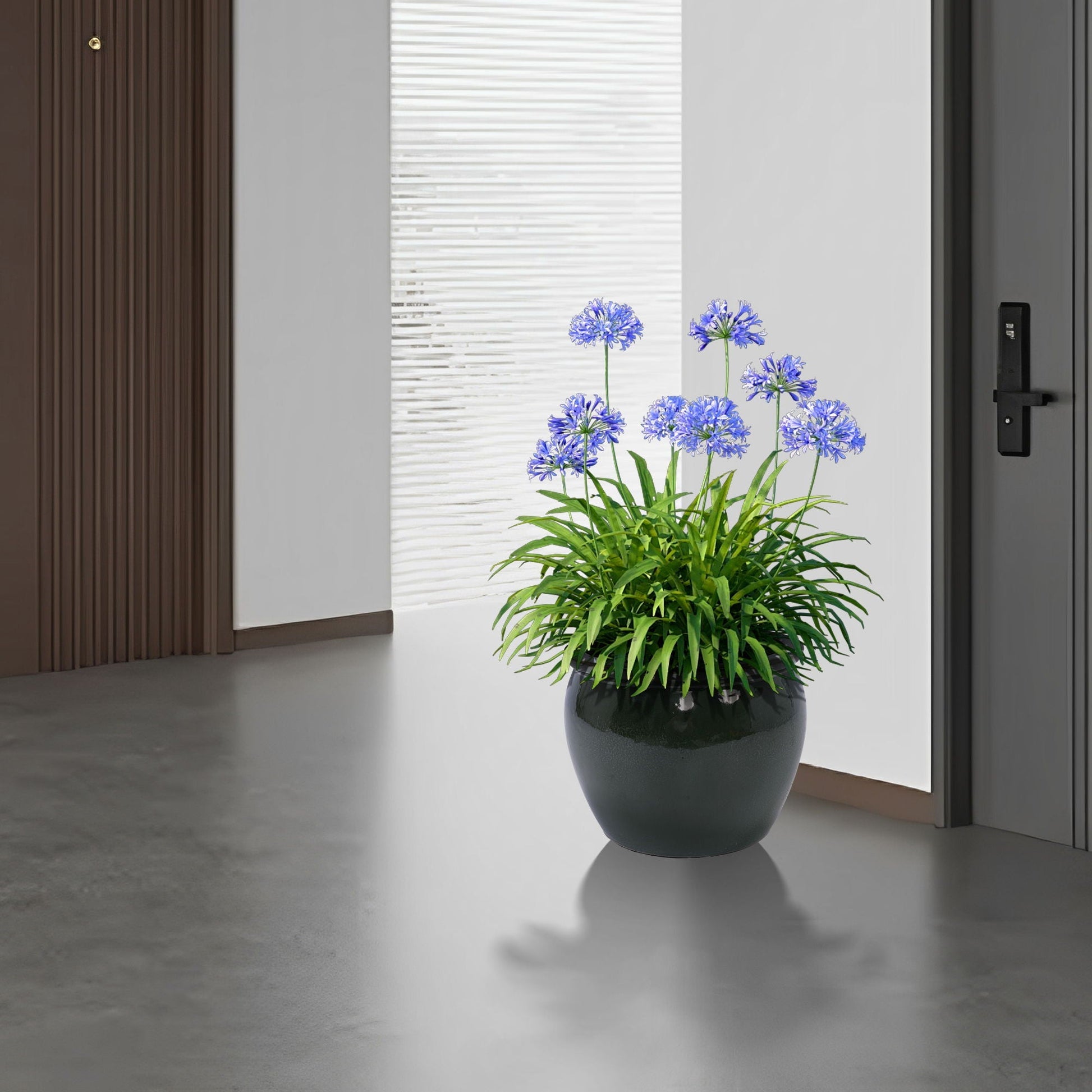 HouseOfZazla 3-piece ceramic flowerpot planter set with dark gray pots and blue allium blooms on Tampa Home & Garden Store