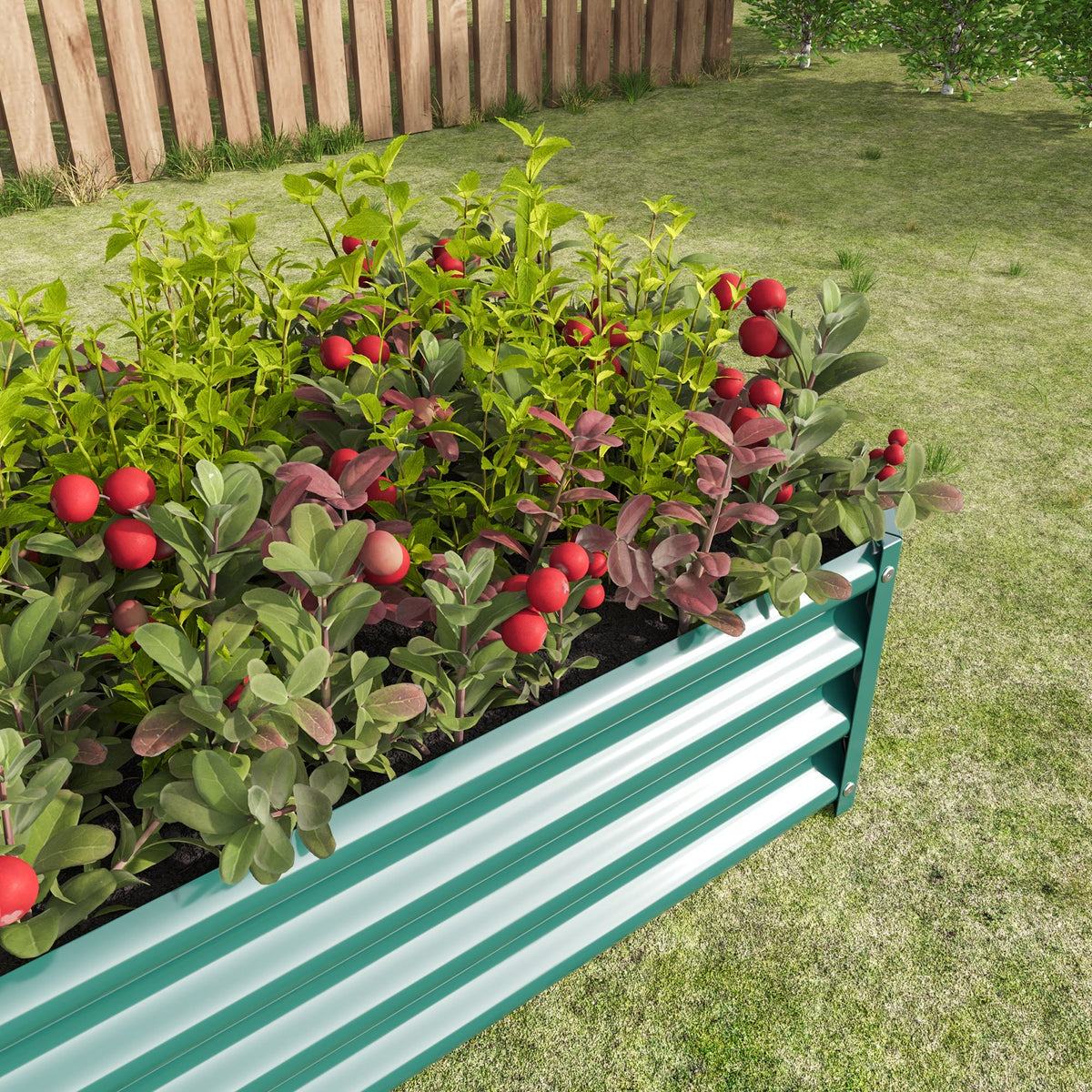 Teal corrugated metal raised bed rectangle planter 4×2×1ft with soil and red-berry plants on Tampa Home & Garden Store