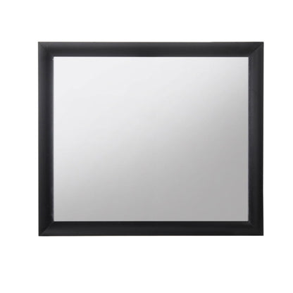 Ireland Contemporary Design Mirror by HouseOfZazla, square black-framed mirror on Tampa Home & Garden Store