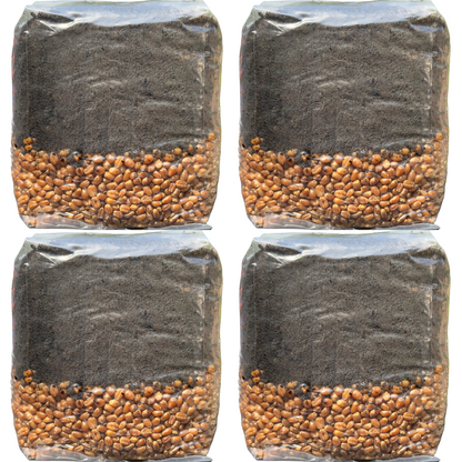 Mushroom Grow Kit - 4 Pack - All In One Mushroom Grow Bags