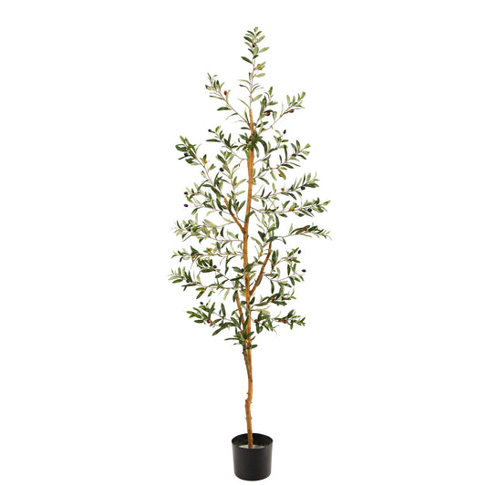 5.5’ Olive Artificial Tree - Tampa Home & Garden Store