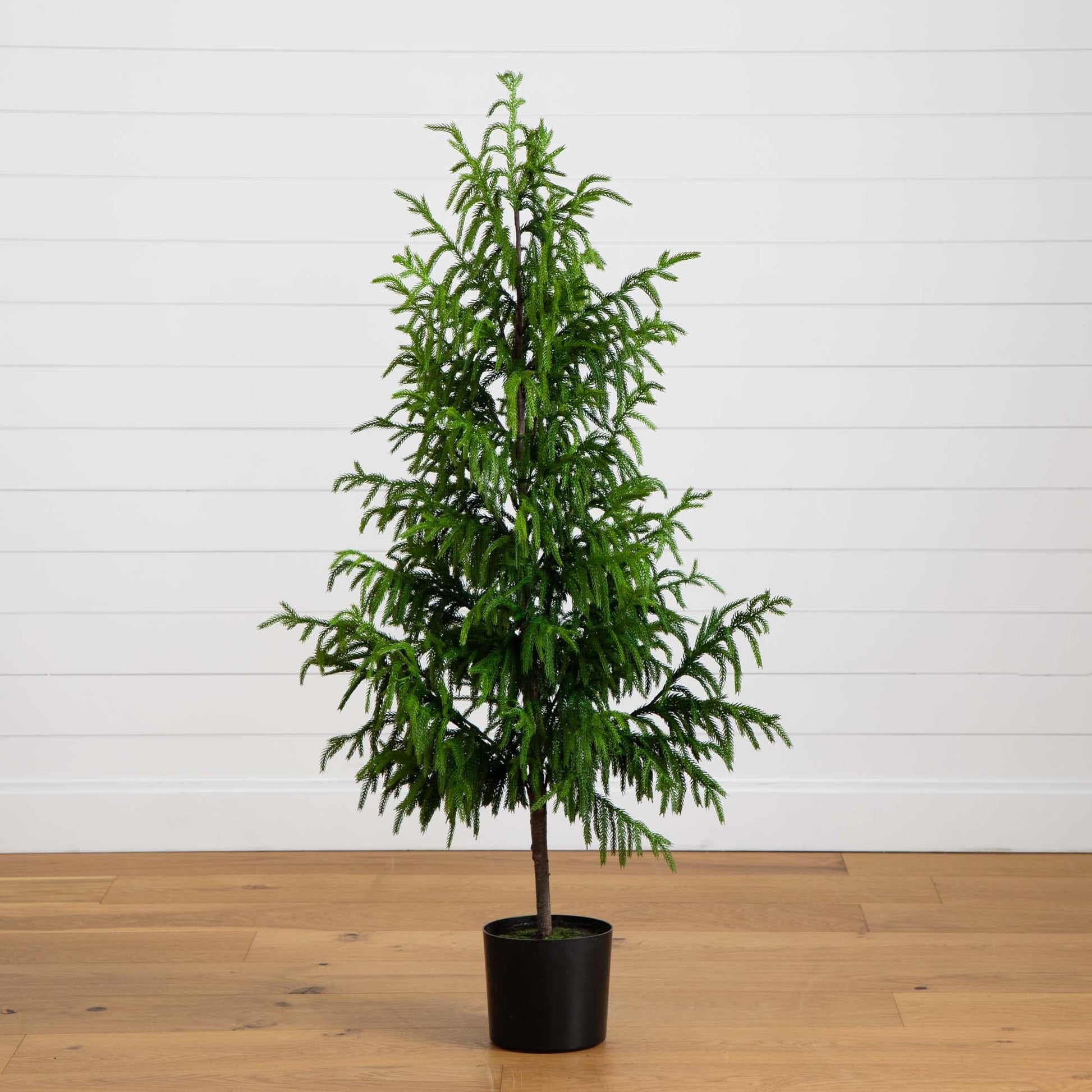 5' Artificial Norfolk Pine Tree - Tampa Home & Garden Store