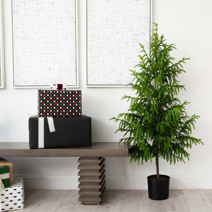 5' Artificial Norfolk Pine Tree - Tampa Home & Garden Store