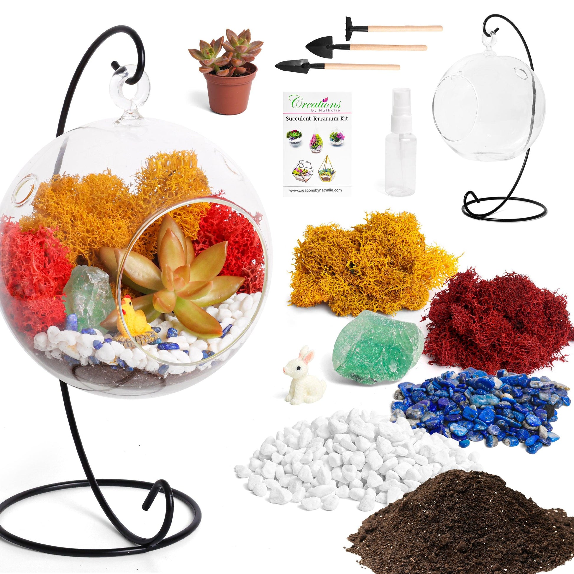 supplies for succulent terrarium 5" Glass Globe Succulent Terrarium Kit – Tampa Home & Garden Store