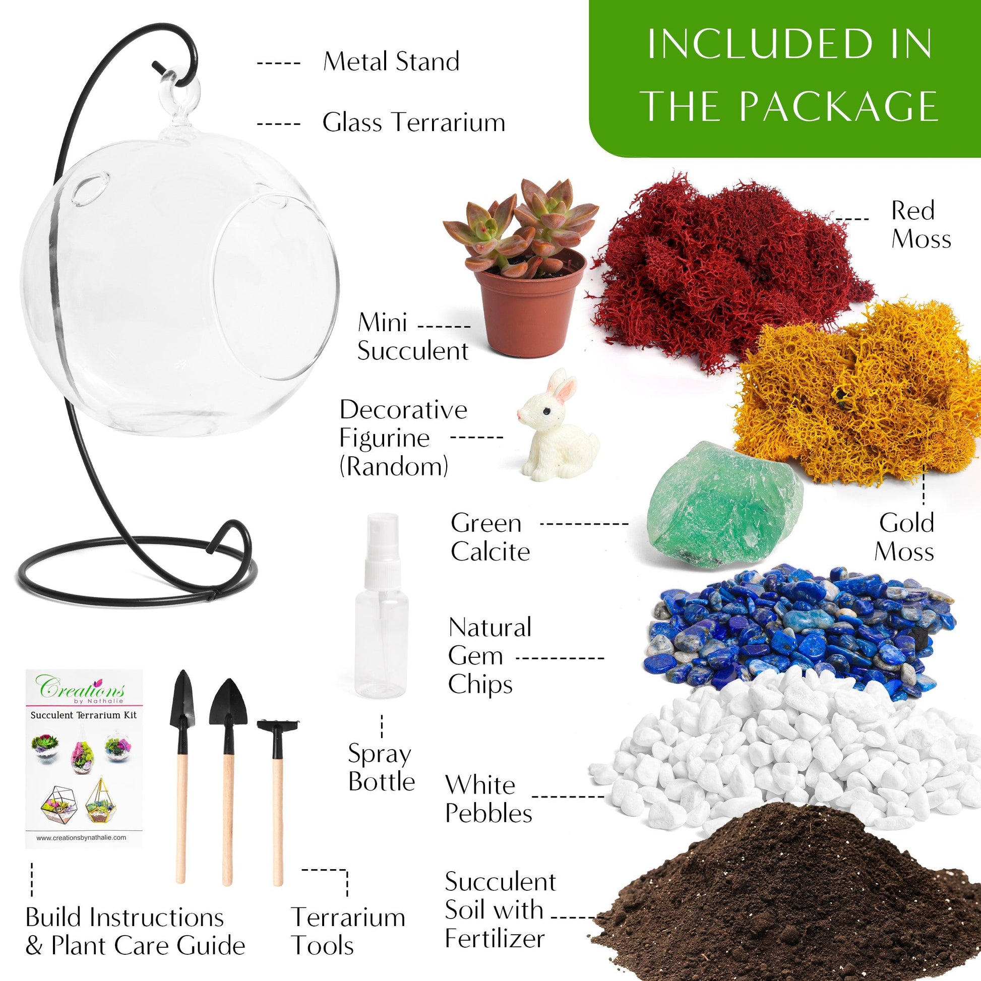indoor succulent terrarium kit 5" Glass Globe Succulent Terrarium Kit – Tampa Home & Garden Store