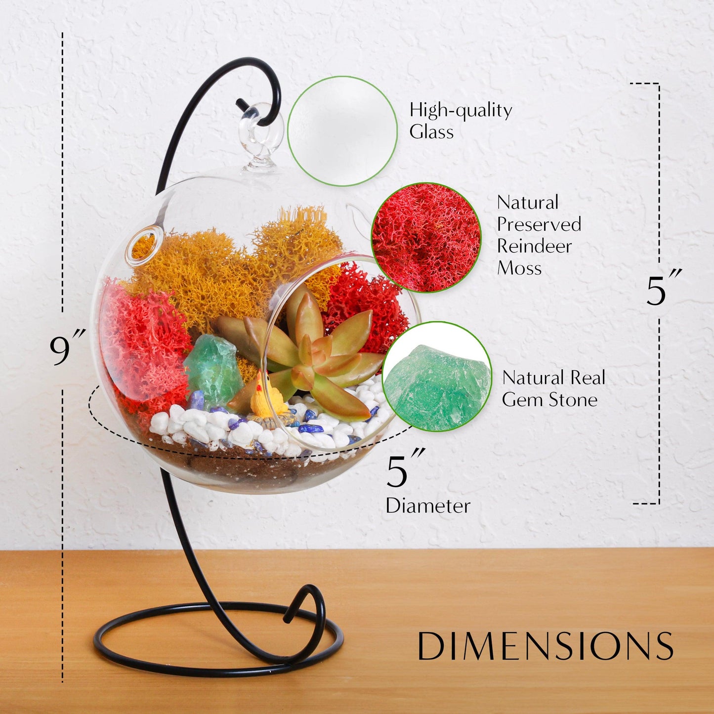 5" Glass Globe Succulent Terrarium Kit - Tampa Home & Garden Store