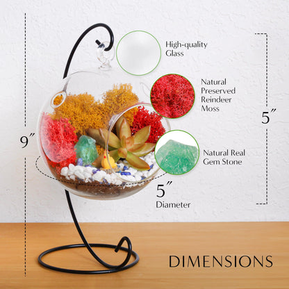 5" Glass Globe Succulent Terrarium Kit - Tampa Home & Garden Store