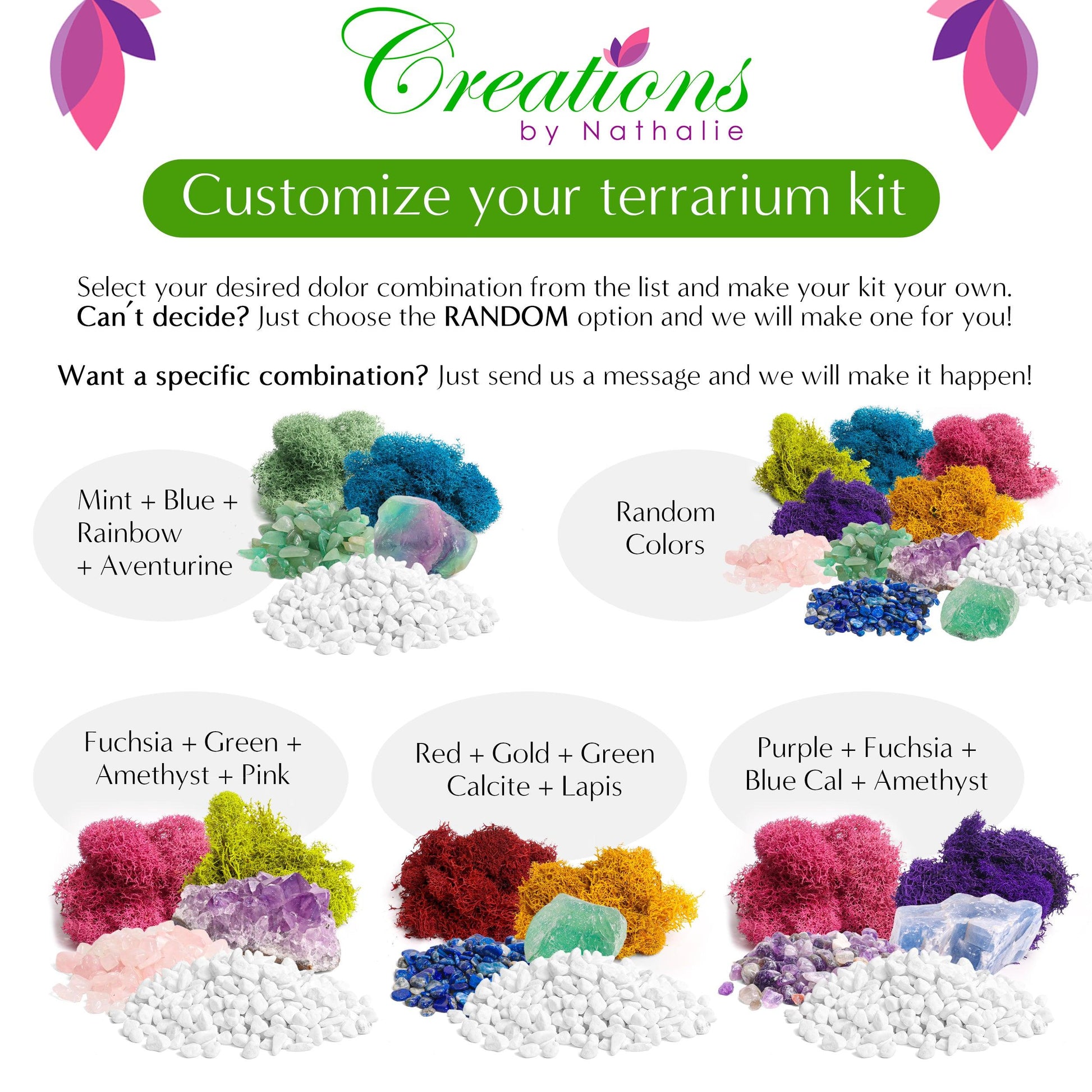 5" Glass Globe Succulent Terrarium Kit - Tampa Home & Garden Store