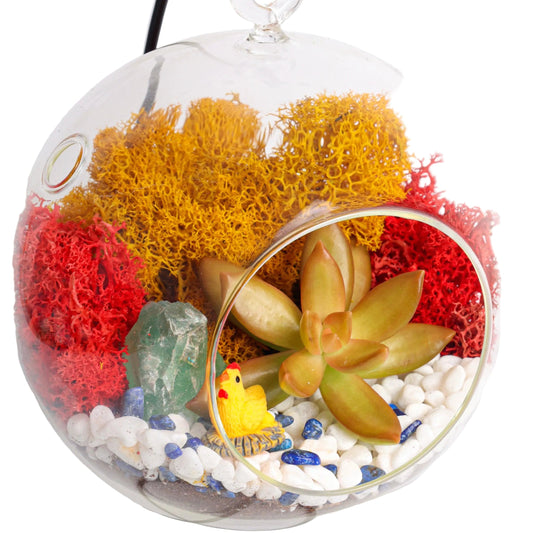 5" Glass Globe Succulent Terrarium Kit - Tampa Home & Garden Store