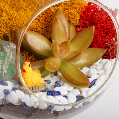 5" Glass Globe Succulent Terrarium Kit - Tampa Home & Garden Store