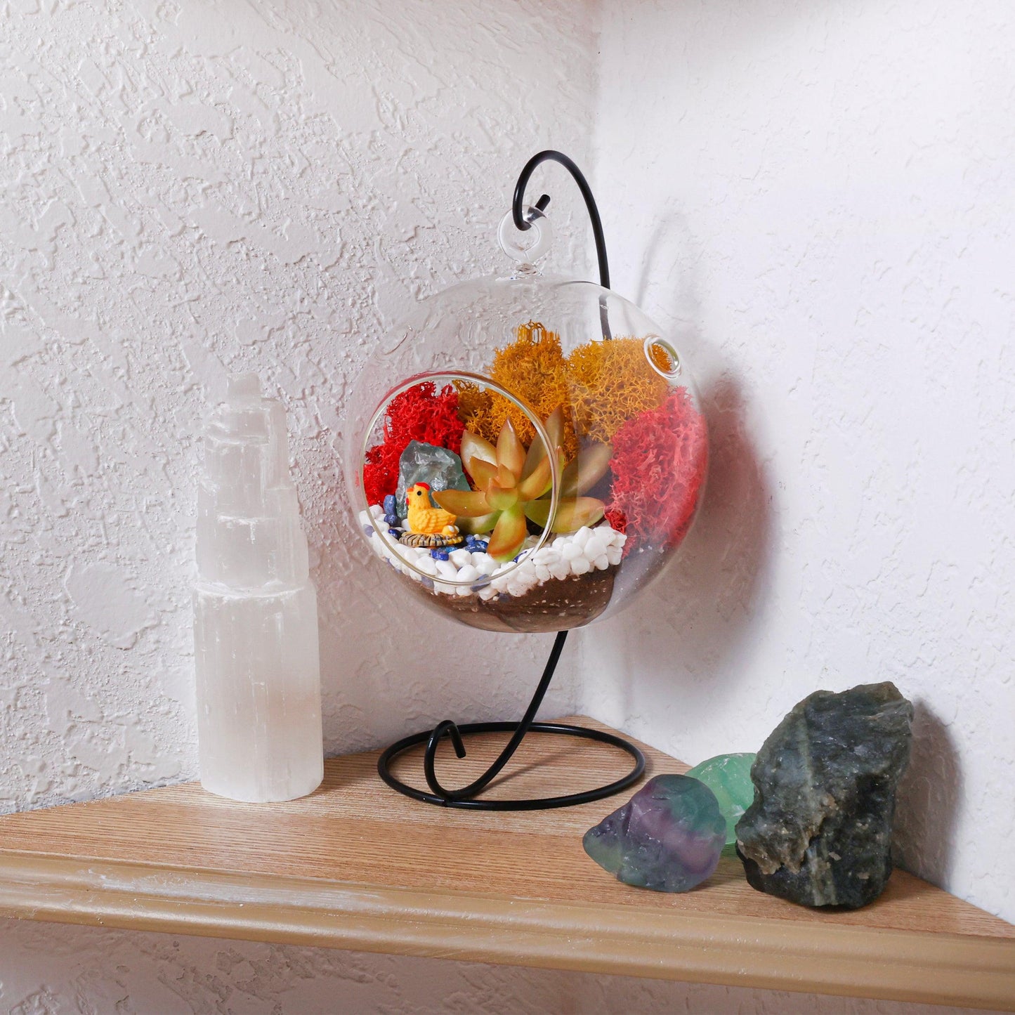 5" Glass Globe Succulent Terrarium Kit - Tampa Home & Garden Store