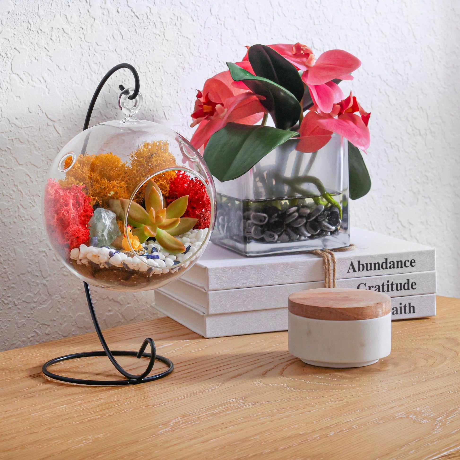 5" Glass Globe Succulent Terrarium Kit - Tampa Home & Garden Store