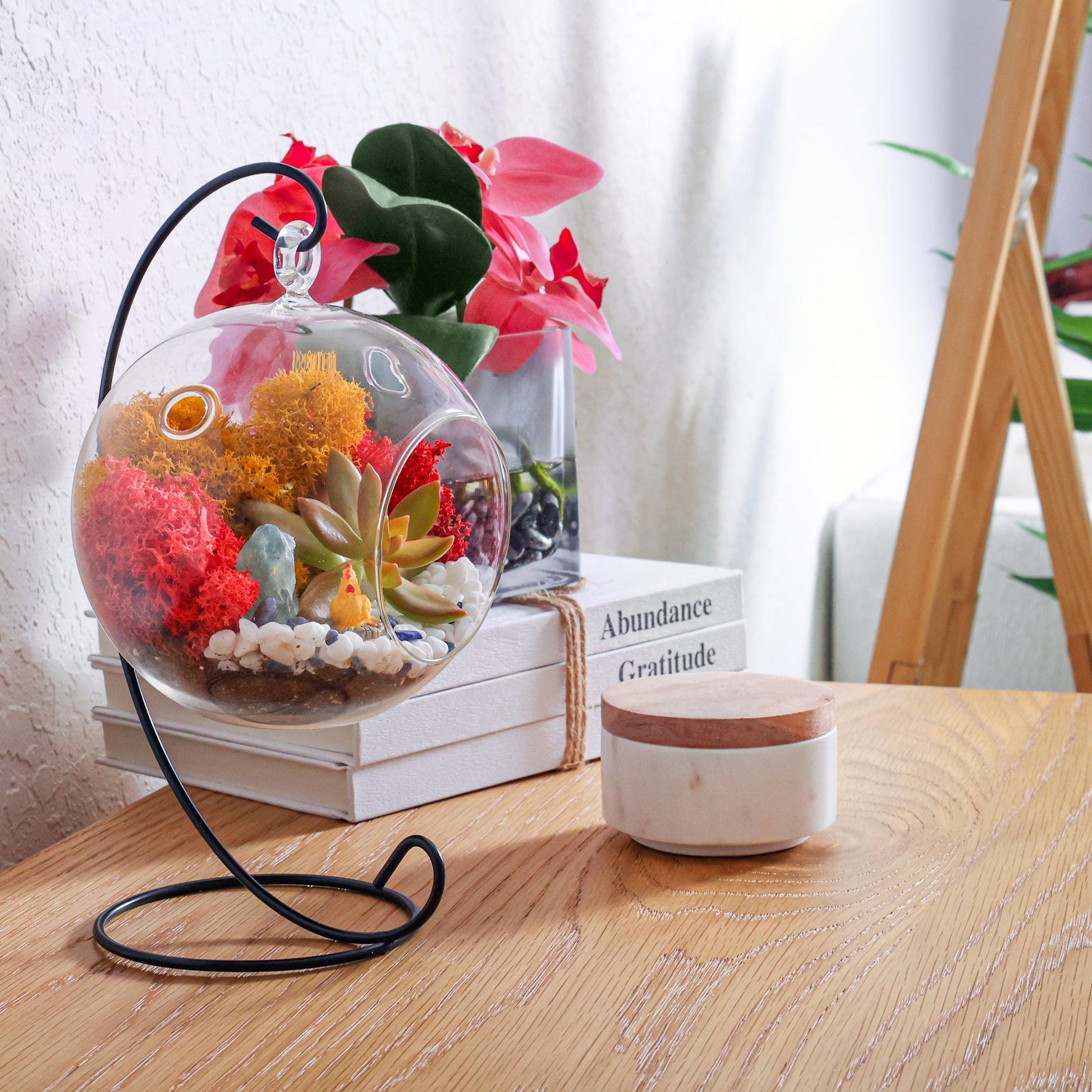 succulent terrarium gift 5" Glass Globe Succulent Terrarium Kit – Tampa Home & Garden Store