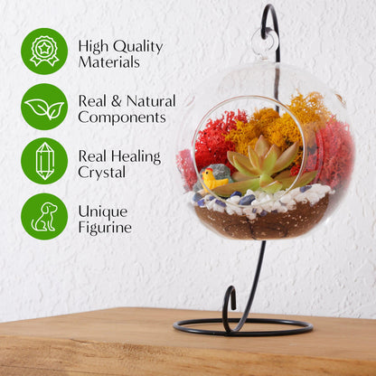 5" Glass Globe Succulent Terrarium Kit - Tampa Home & Garden Store