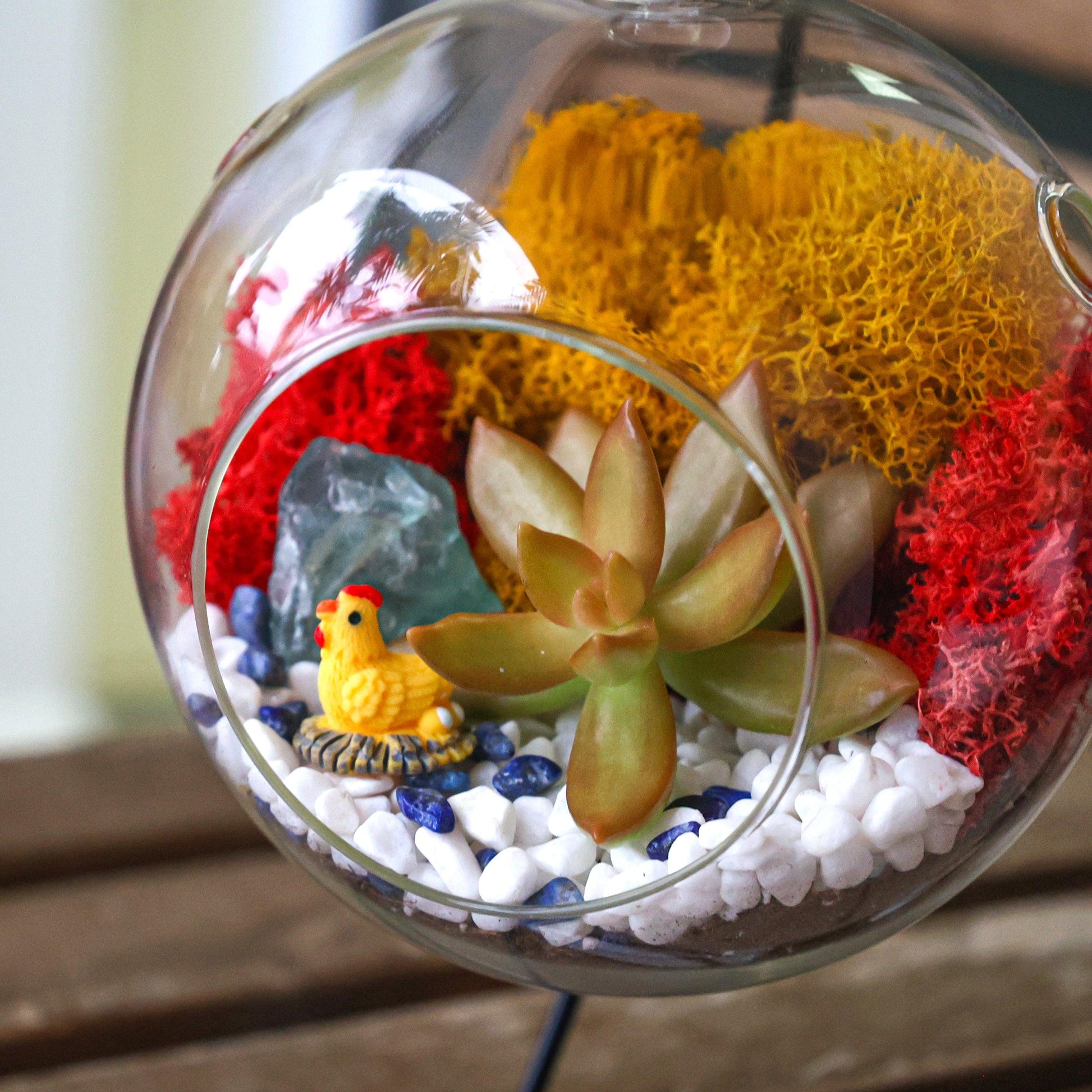 succulent terrarium supplies 5" Glass Globe Succulent Terrarium Kit – Tampa Home & Garden Store