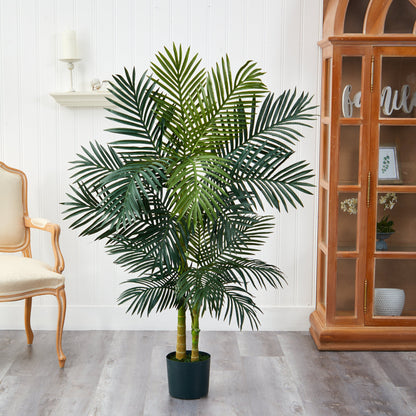 5’ Golden Cane Palm Tree - Tampa Home & Garden Store