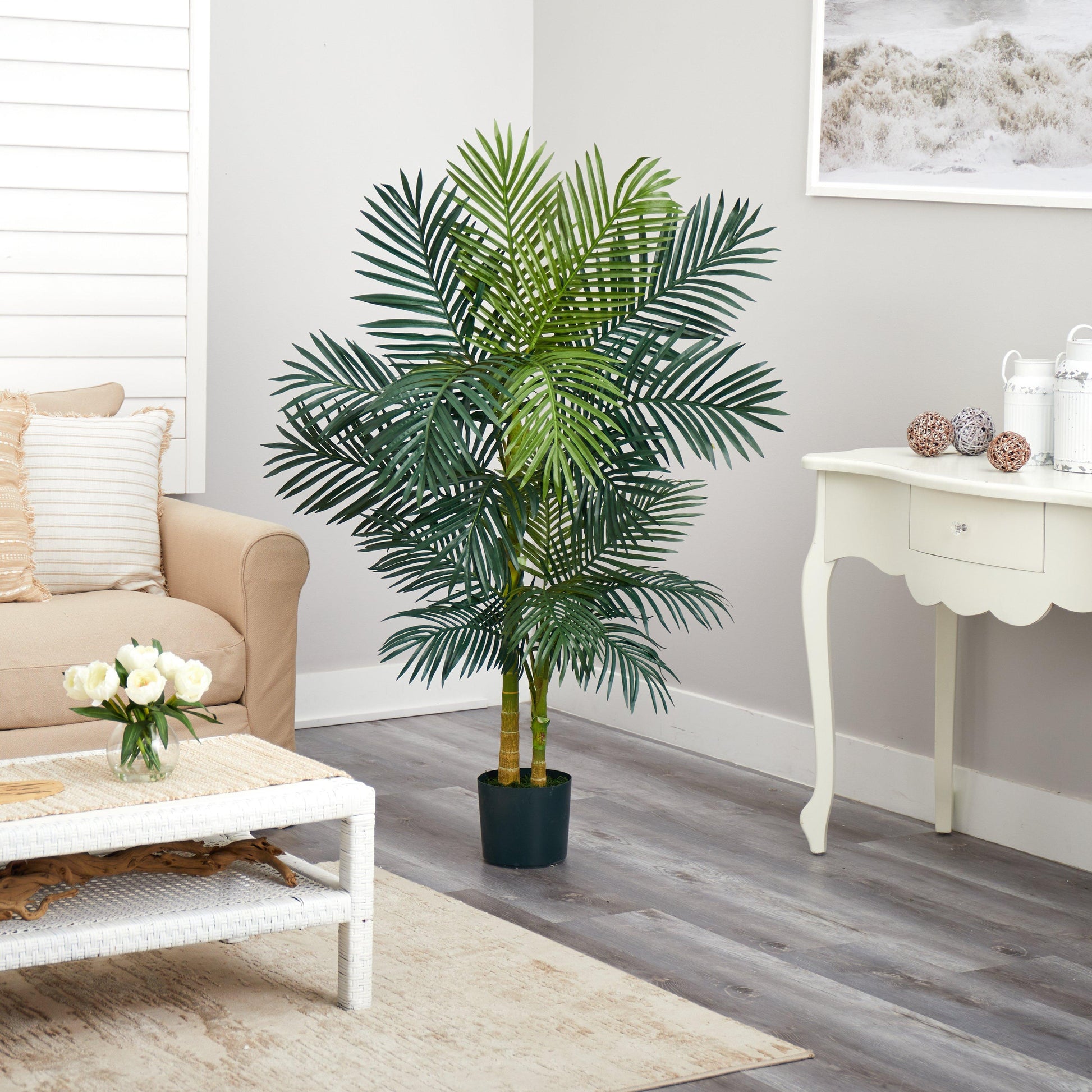 5’ Golden Cane Palm Tree - Tampa Home & Garden Store