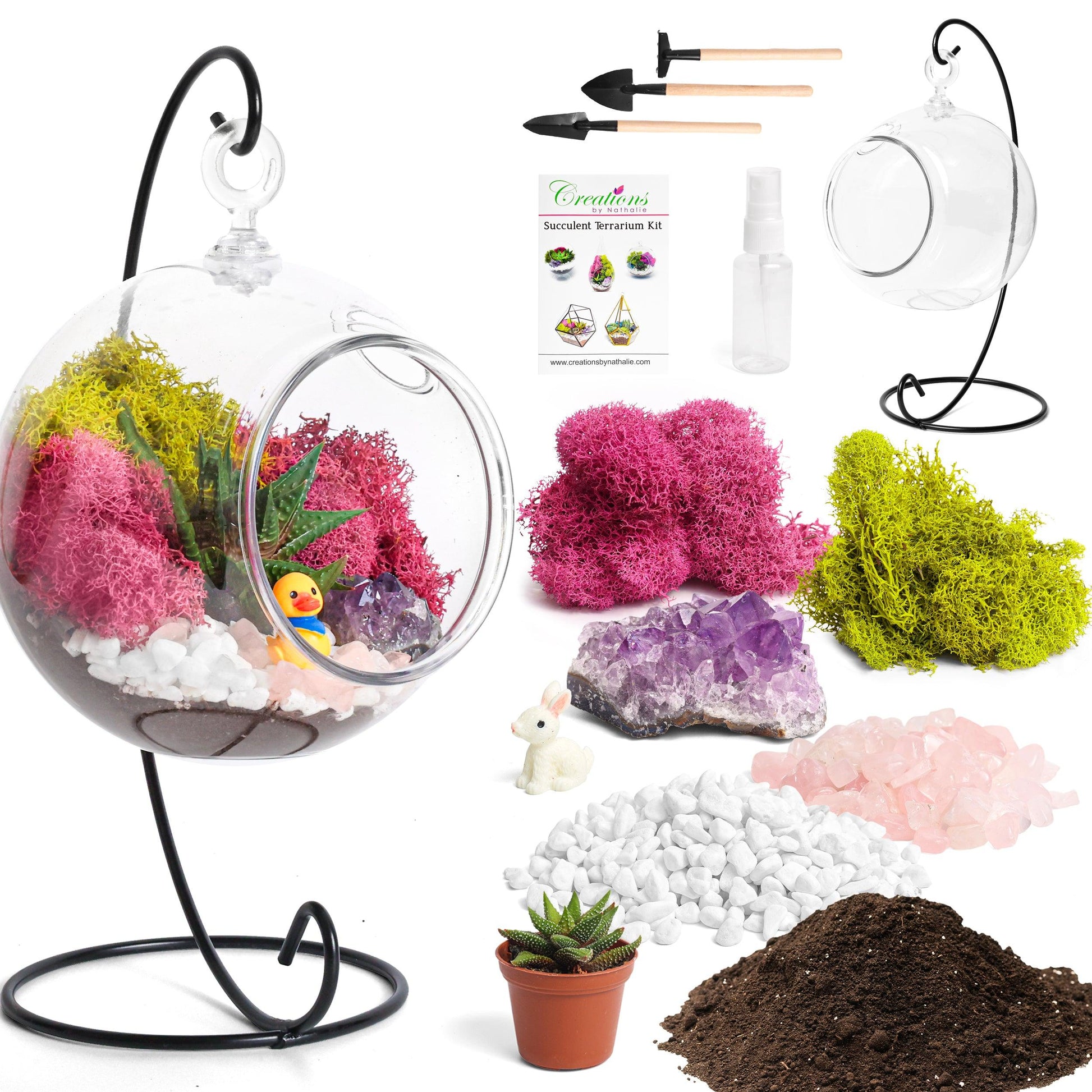 5" Kid Friendly Succulent Terrarium Kit | Acrylic Globe - Tampa soil911.com