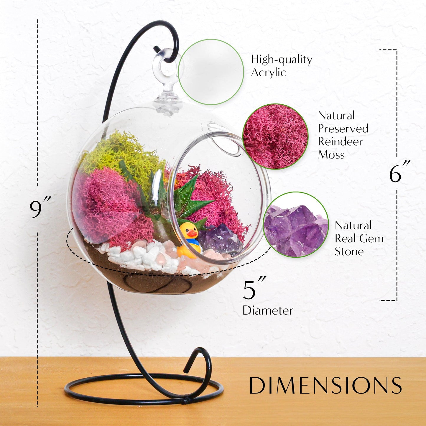 5" Kid Friendly Succulent Terrarium Kit | Acrylic Globe - Tampa soil911.com