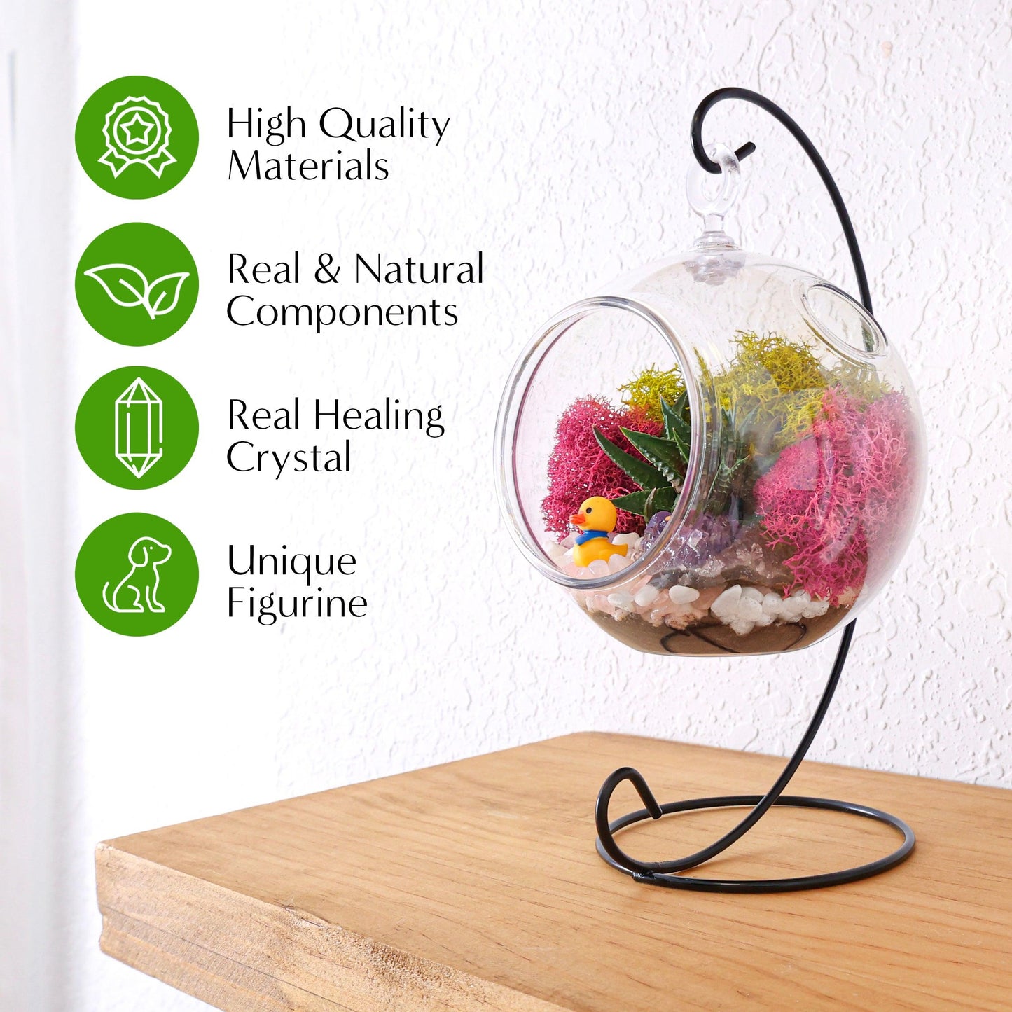 5" Kid Friendly Succulent Terrarium Kit | Acrylic Globe - Tampa soil911.com
