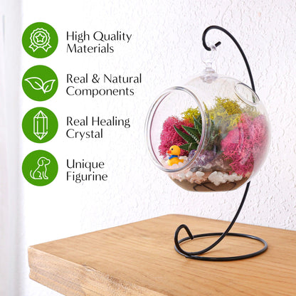 5" Kid Friendly Succulent Terrarium Kit | Acrylic Globe - Tampa soil911.com