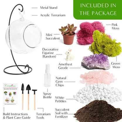 5" Kid Friendly Succulent Terrarium Kit | Acrylic Globe - Tampa soil911.com