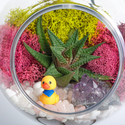 5" Kid Friendly Succulent Terrarium Kit | Acrylic Globe - Tampa soil911.com