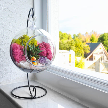 5" Kid Friendly Succulent Terrarium Kit | Acrylic Globe - Tampa soil911.com