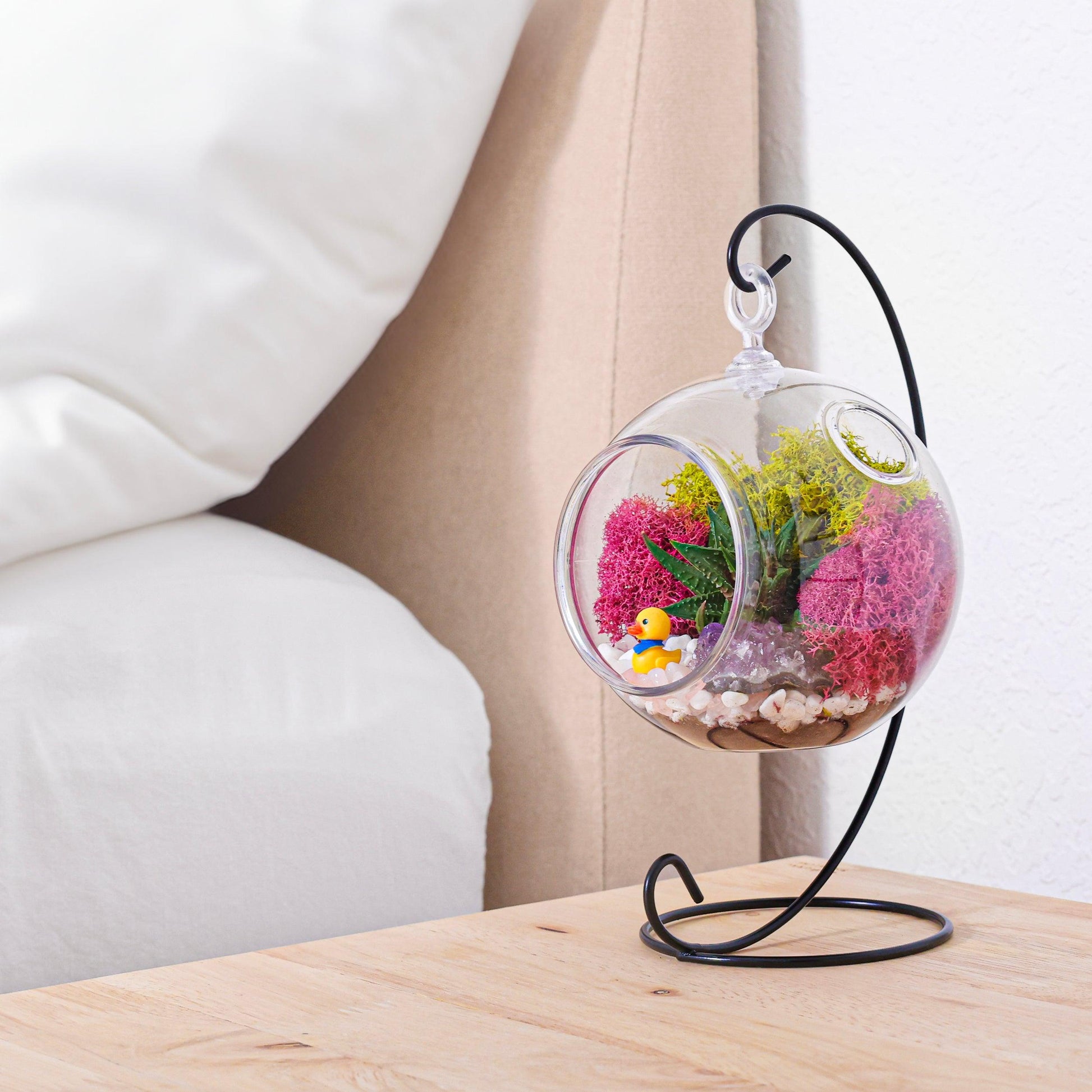 5" Kid Friendly Succulent Terrarium Kit | Acrylic Globe - Tampa soil911.com