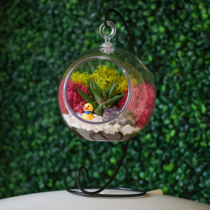 5" Kid Friendly Succulent Terrarium Kit | Acrylic Globe - Tampa soil911.com