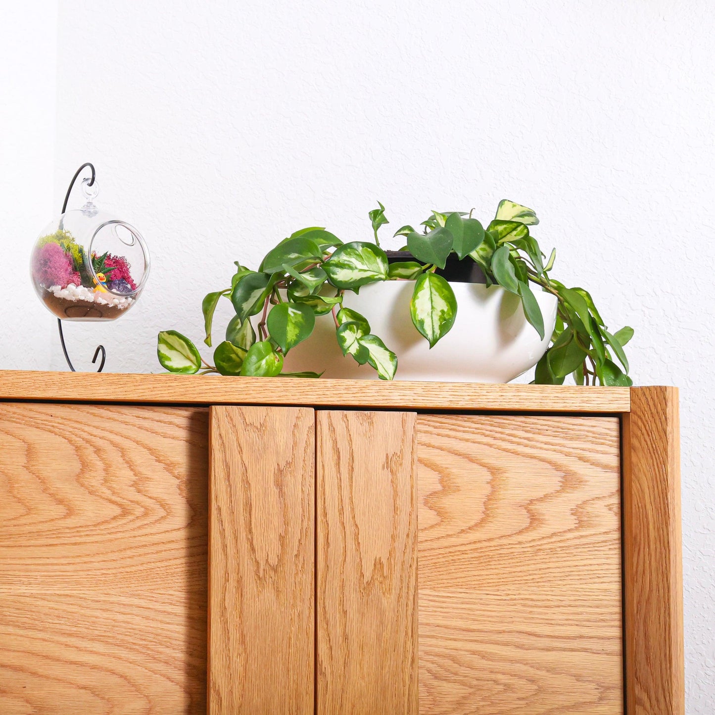 5" Kid Friendly Succulent Terrarium Kit | Acrylic Globe - Tampa soil911.com