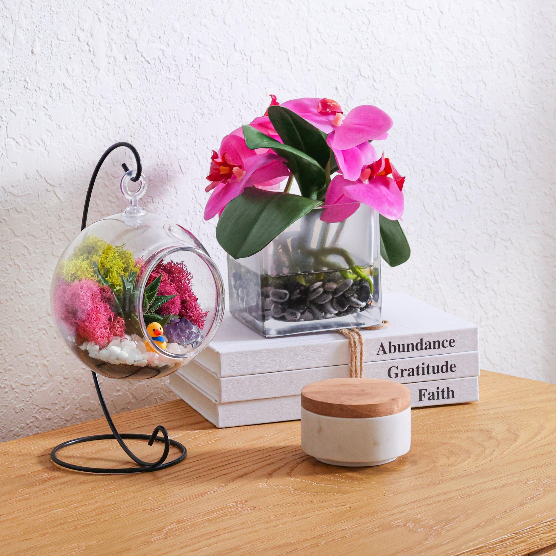 5" Kid Friendly Succulent Terrarium Kit | Acrylic Globe - Tampa soil911.com