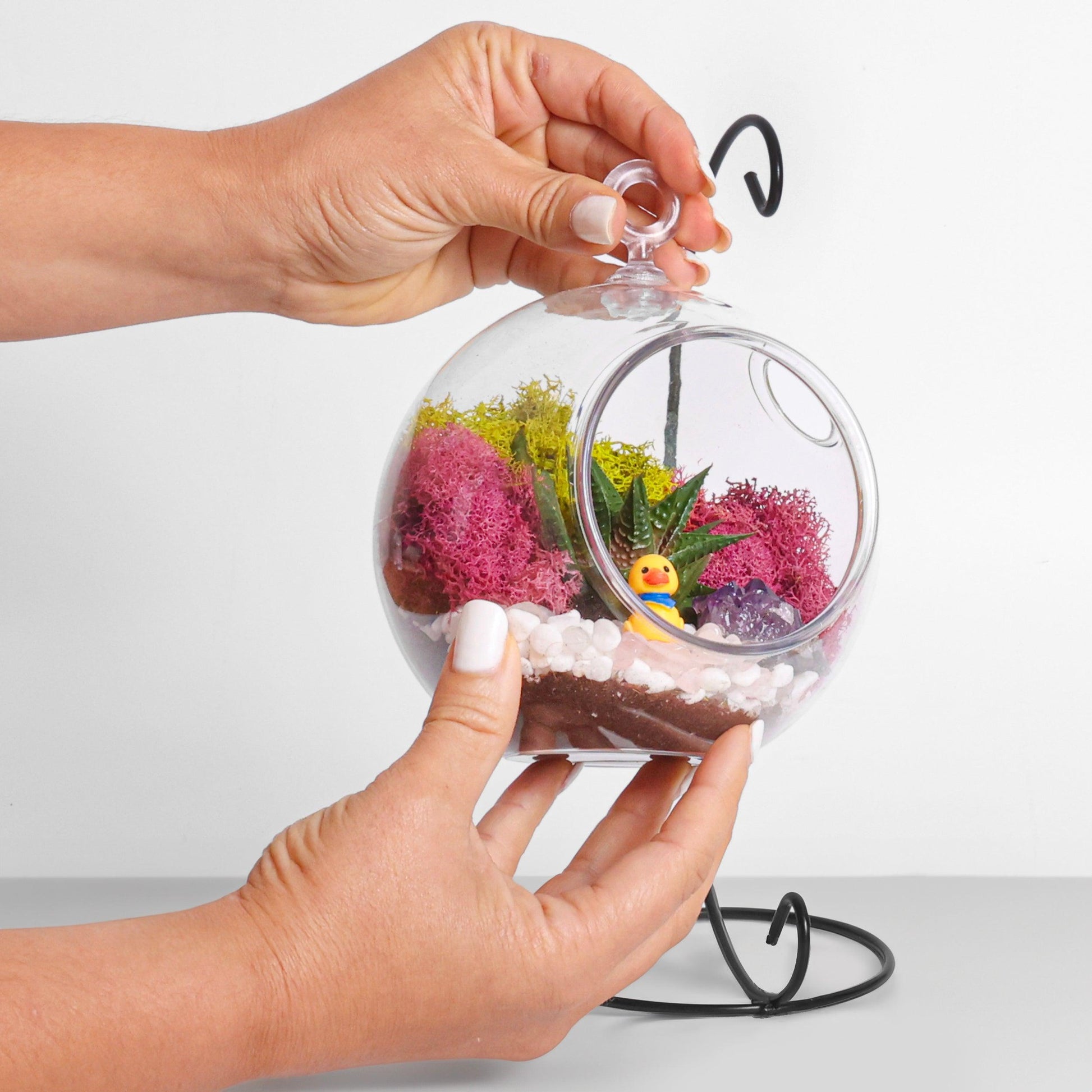 5" Kid Friendly Succulent Terrarium Kit | Acrylic Globe - Tampa soil911.com