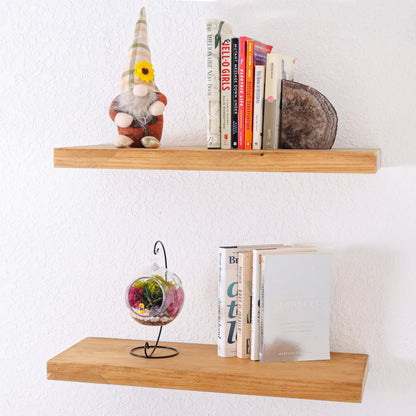 5" Kid Friendly Succulent Terrarium Kit | Acrylic Globe - Tampa soil911.com