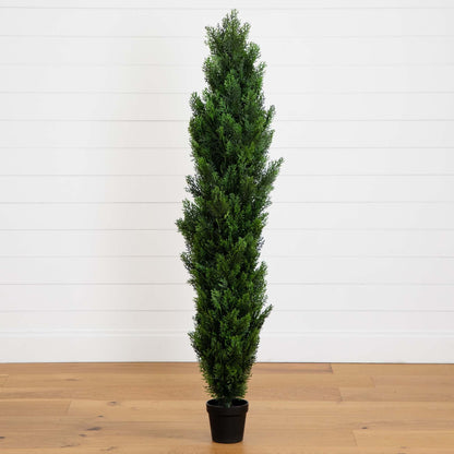 5' Mini Cedar Pine Tree (Indoor/Outdoor) - Tampa Home & Garden Store