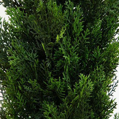 5' Mini Cedar Pine Tree (Indoor/Outdoor) - Tampa Home & Garden Store