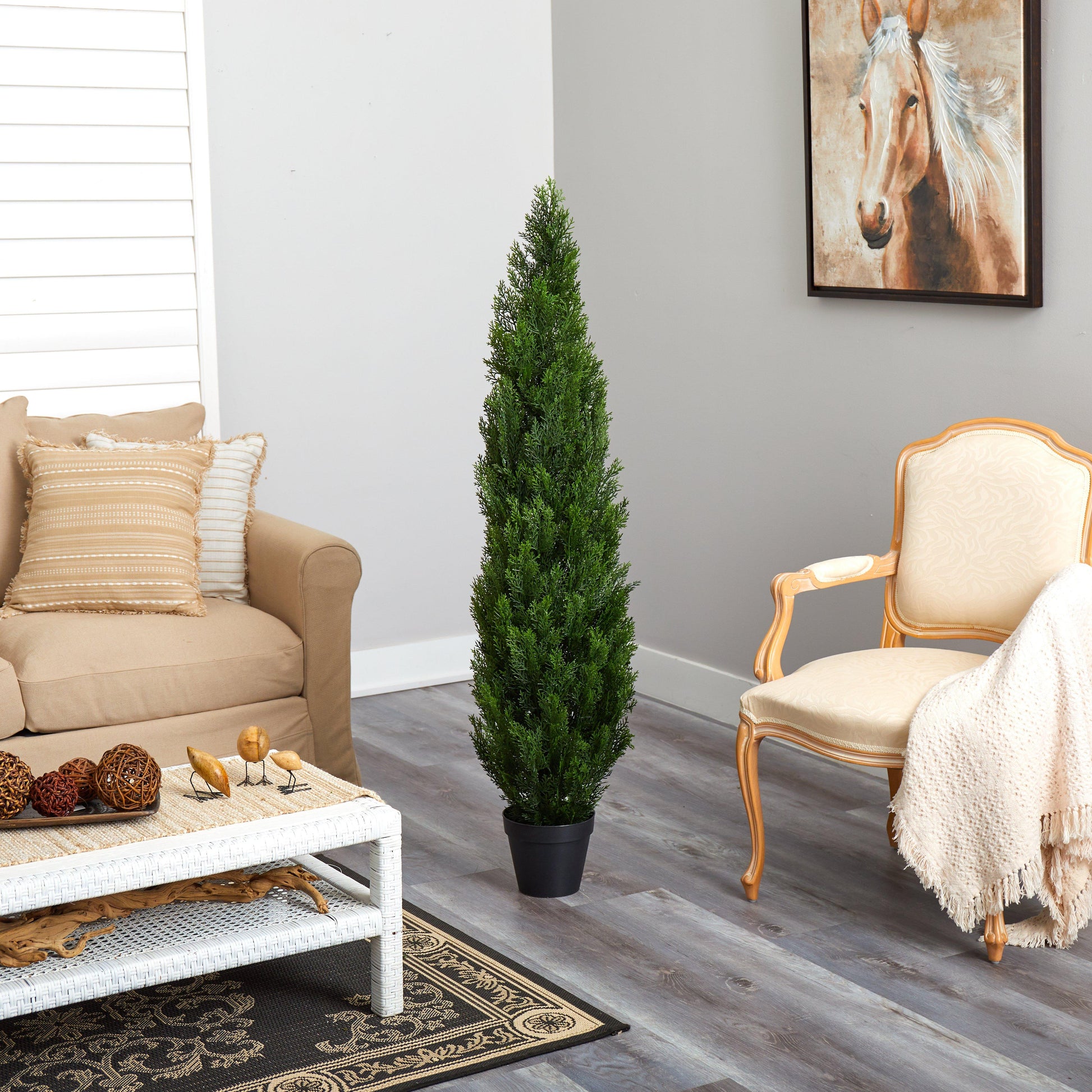 5' Mini Cedar Pine Tree (Indoor/Outdoor) - Tampa Home & Garden Store