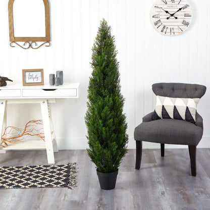 5' Mini Cedar Pine Tree (Indoor/Outdoor) - Tampa Home & Garden Store