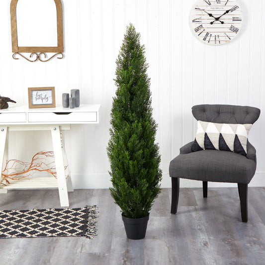 5' Mini Cedar Pine Tree (Indoor/Outdoor) - Tampa Home & Garden Store