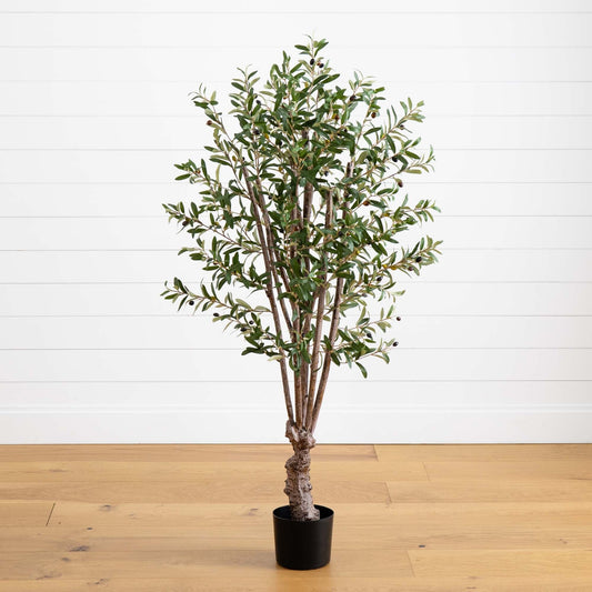 5' Olive Silk Tree - Tampa Home & Garden Store