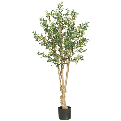 5' Olive Silk Tree - Tampa Home & Garden Store