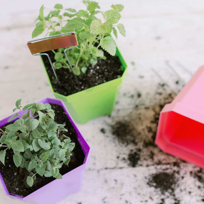 5" Reusable Seed Starting Pots with Insert - Tampa Home & Garden Store
